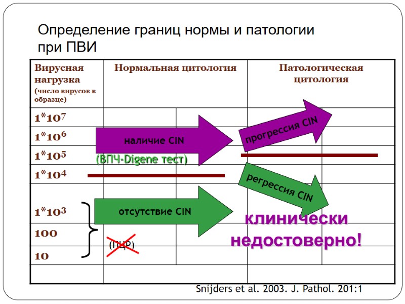 Определение границ нормы и патологии  при ПВИ наличие CIN  отсутствие CIN регрессия
